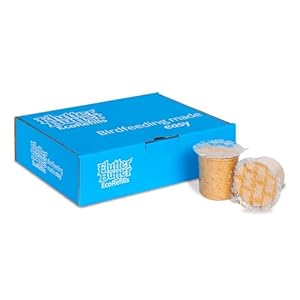 Peanut Butter for Birds – Jacobi Jayne Flutter Butter EcoRefills – Fruity Flavour Wild Bird Food – Ultra-Convenient Eco-Friendly Bird Feed – Pack of 12 Refills, Fruity