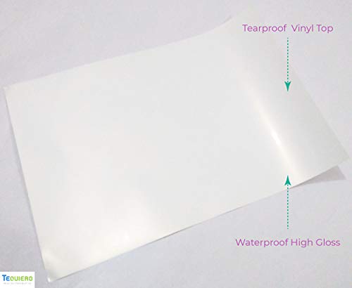 TeQuiero Inkjet Vinyl Sticker Paper Sheet Super Glossy Waterproof Pearl Self Adhesive A4 Size Vinyl Photo Paper (Inkjet) - 50 Sheets