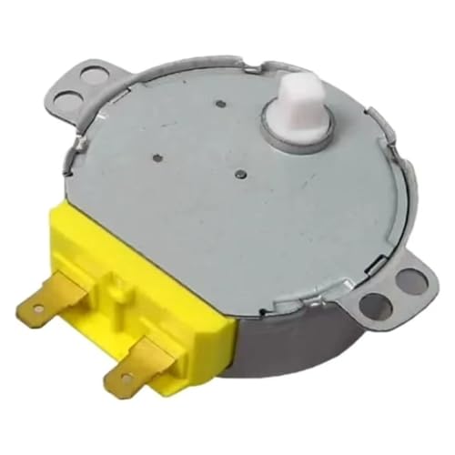 Plateau de micro-ondes bloqué : moteur synchrone SSM-16H de rechange