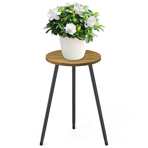 STLOVe Tabouret pour Plantes Table d'appoint Support Plantes, Diamètre 30cm Supports de Pots de Fleurs, Étagère Plantes Intérieur(sauf pour Les Plantes et...