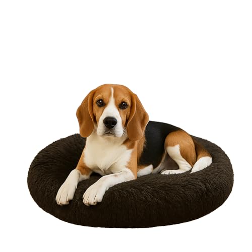 Dorian Home - Cuccia Cane Interno e Cuccia Gatto Tonda, Cuscino Cane Gatto Antiscivolo - Cuscino per Cani e Gatti Lavabile Taglia Grande, Media, Piccola, Lettino Cani Morbido, Letto Peloso a Ciambella