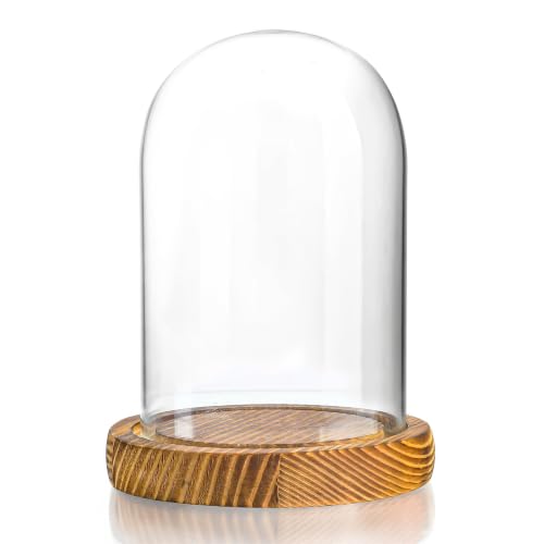 Cloche Glass Dome with Wooden Base, Glass Display Dome Bell Jar 5.1"