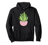 Cute Kawaii Succulents for Plant Lover