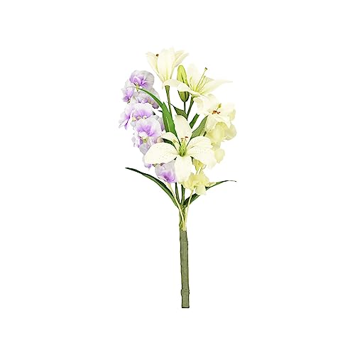 �����d�̂͂����� ���� �t�����[�u�[�P L �X�e�������[ ���~ �V�~ ���~ ��� �X�C�[�g�s�[ ���d �~�I ���~�p�i �~�p�i �~���� ������