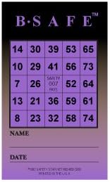 B-Safe Safety Bingo Cards, 6 Vibrant Colors, Fun and Rewarding Employee Safety Program, Inspire Participation with Workplace Safety Bingo Safety Game, Safety Bingo Made in USA, 2" x 3.5", Pack of 600
