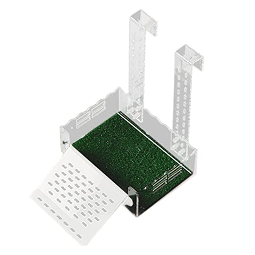 Qianly J̓vbgtH[xeeXTX[vكANZT[JĜ߂̗VтƃbNXhbNJ, 18cm×12cm