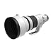 Canon RF400mm F2.8 L is USM