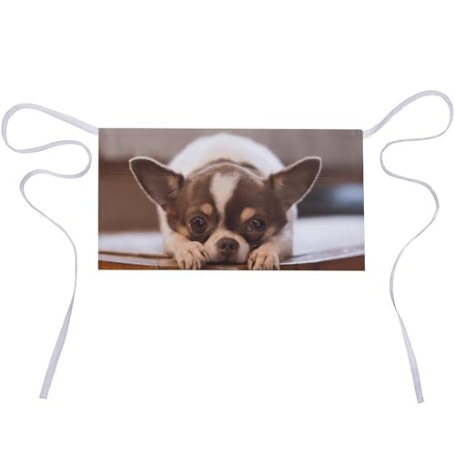 [A^A] Gv V[g `  Gv |Pbgt T JtF Y O|Gv jp jtH[ 牀 |  H ƒp h