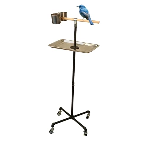 Stainless Steel Tray Bowls Bird Perch Stand with Wheels Parrot Stand Parrot Perch Stand 2 Stainless Steel Cups Bird Play Stand for Indoor Outdoor(Black