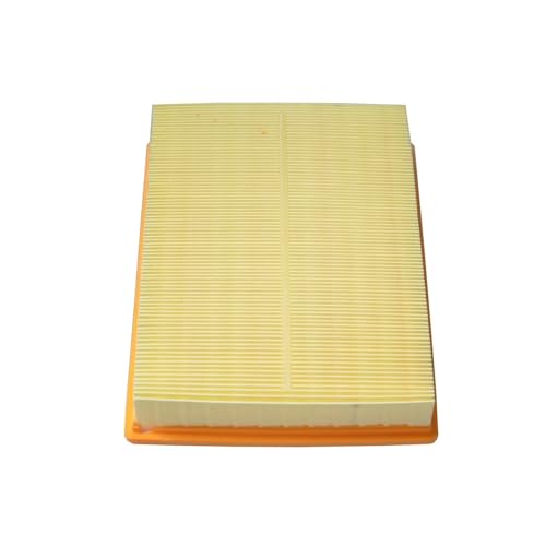 Filtro 30025813 y 50016901 de repuesto esencial para el motor de tu auto