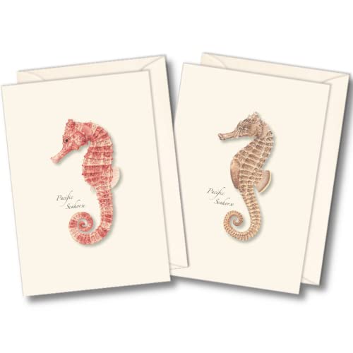 Image of Earth Sky + Water - Pacific Seahorses Notecard Set - 8 Blank Cards with Envelopes (4 each of 2 styles)