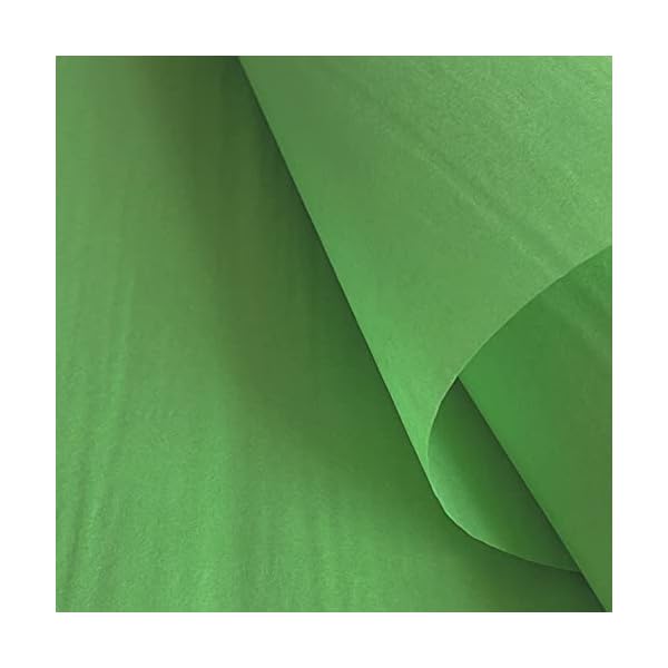 Aloe – 96 Blatt, 37,8 x 50,8 cm – Geschenkpapier für Geschenktüten, Geschenkboxen und Geschenkkörbe, Verpackung…