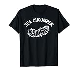 Sea Cucumber Design