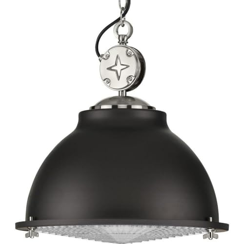 Progress Lighting Medal Collection 1-Light Clear Patterned Glass Coastal Pendant Light Graphite