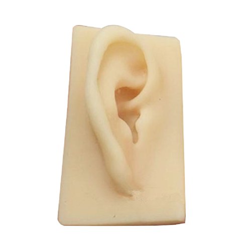 Tinsay Natural Size Human Right Ear Model Life Size Silicone Ear Acupuncture Practice
