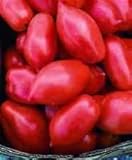Roma pomodoro! 20 semi! Grande per Canning! Combined S/H!