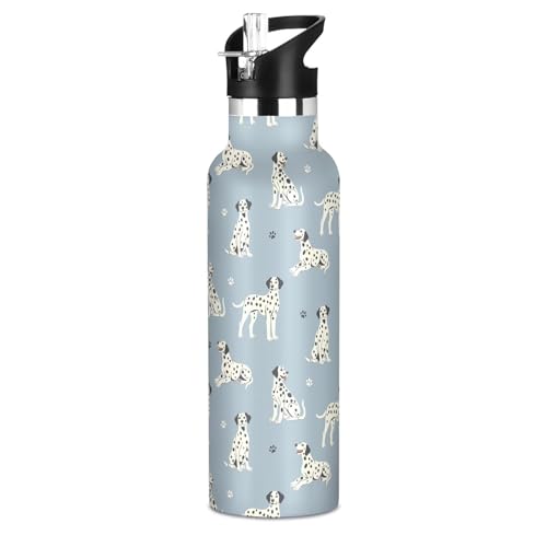 Sletend Water Bottle Kids Insulated Stainless Steel Hot Cold Dalmatian Dogs Water Flask Jug with Straw Lid for Sports Gym Running 20 oz