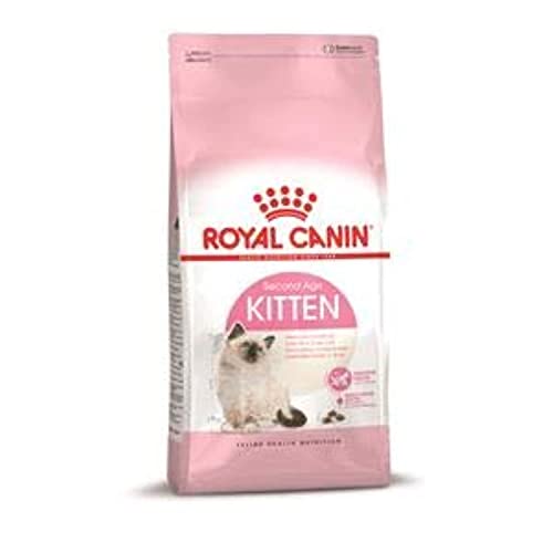 ROYAL CANIN Kitten Cats Dry Food 10 kg