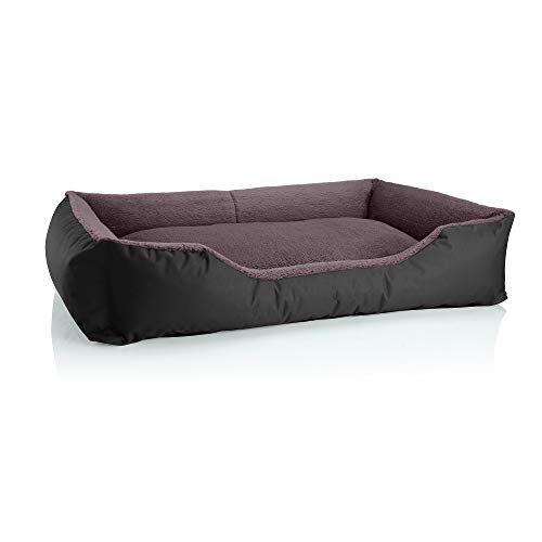 BedDog TEDDY Cuccia per cani XXL - Cuscino - Divano - Copertina Rimovibile e Lavabile, Cani Medio-Grande