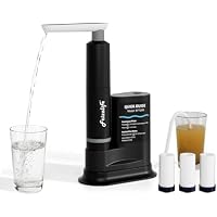 Frizzlife Electric Portable Water Filter (Black)