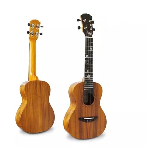 ṽEN EN RT[g 23 C` EN AJVA MOobO/Xgbv/J|/`[i[t