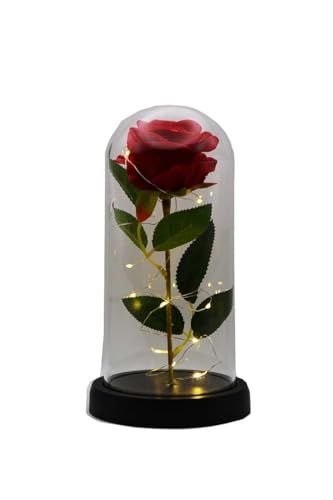 Red Rose for Wife/Mother/Girlfriend/Grandma Perfect for a Special Occasion Artificial Rose in Glass Dome With LED Lighting Strip Christmas/Birthday/Anniversary/Mother's Day/Valentine's Day