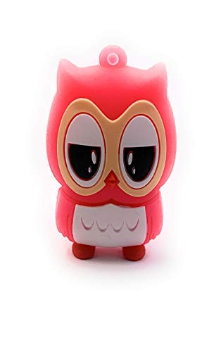 Clé USB chouette idée cadeau mignon pour la rentrée