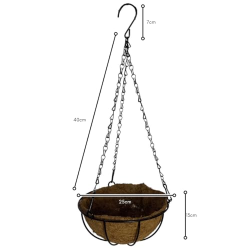 Vaso de Fibra de Coco 20cm de Plantas Suspenso com Corrente (2, 25cm)