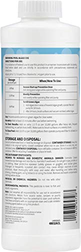 Aqua Clear 40032ACL Pool Products Algaecide 32 Oz. thumb #1