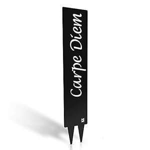 tradeNX Gartenstecker Schwarz | Metall | Gartenschild Gartendeko Terrasse Schild in Schwarzoptik (Carpe Diem)