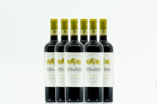 BODEGAS ARAGONESAS - COTO DE HAYAS VIÑAS DEL CIERZO | Vino tinto D.O Campo de Borja | Elaborado 86% Garnacha, 10% Syrah y 4% Mazuela | Caja de 6 Botellas - 0,75L/botella