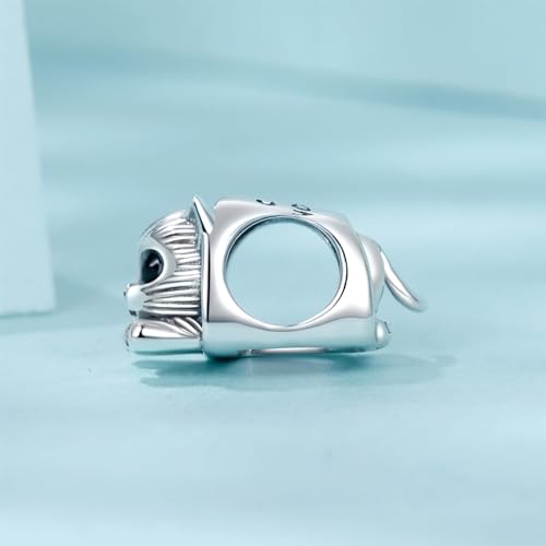 Dijes de casa y gato de plata ley 925 colgantes para collares 2