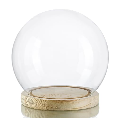 ZEERSHEE Round Glass Cloche Display Dome 6inch Decorative Glass Display