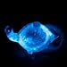 The Living Bioluminescent Bio-Turtle - A Glass Turtle microaquarium Filled with bioluminescent Glowing Plankton