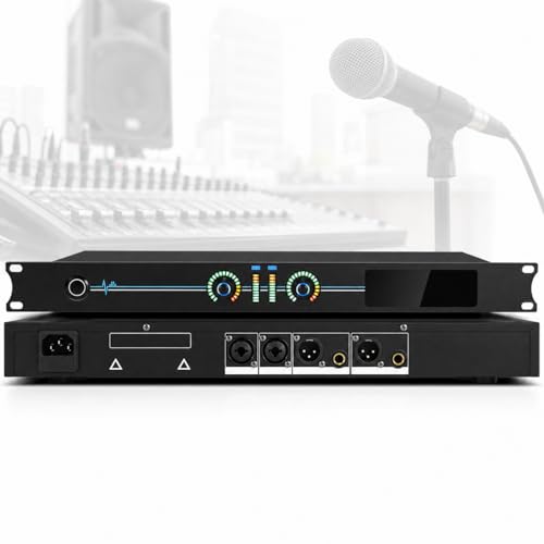 Professional Feedback Suppressor, 2 in 2 Out Microphone Feedback Eliminator with Floating-Point Automatic Calculation Technology for Live Performances, Stage, Conference