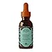 HERBS ETC. Essiac Tonic, 2 FZ