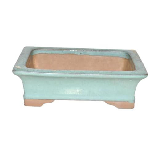 Maceta de Cerámica para Bonsáis Estilo Clásico - Dimensión 15x10x5cm