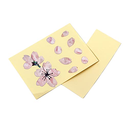 SUPVOX Guitarra Etiqueta De Bajo Ukelele Pegatinas Apliques De Flores Calcomanías Adhesivas Con...