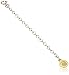 Dogeared Gold Extender, 3"