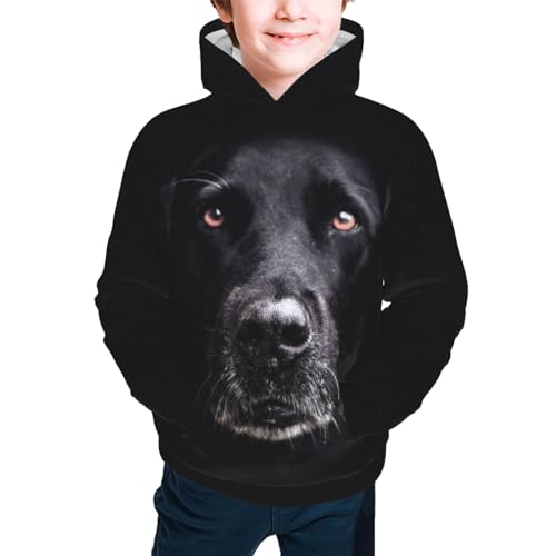 Black Labrador Boy, Girls Sports Shirt Youth Pullover Fashion Hooded Sweatshirt