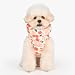 Puppia Hibiskus Hundepullover Wintersaison, integriertes Geschirr für kleine und mittelgroße Hunde, Orange, Größe S