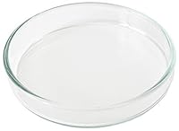 GARNELEN4YOU® Futterschale | Echtglas Made in Germany | Premium Futter-Schale aus Laborglas für Garnelenfutter | sichere & gezielte Fütterung | Glas statt Acryl-Plastik | (1x 6 cm)