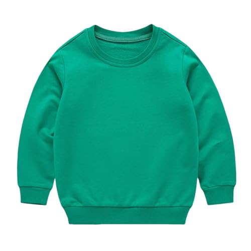 DDAPJ pyju Unisex Kids Crewneck Sweatshirts Boys Girls Cotton Long Sleeve Shirts Loose Basic Casual Pullover Tops 1-13 Years