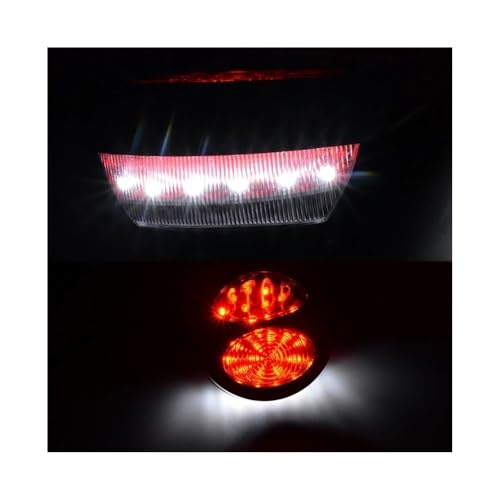Feu arrière moto LED résistant aux vibrations pour custom 12V
