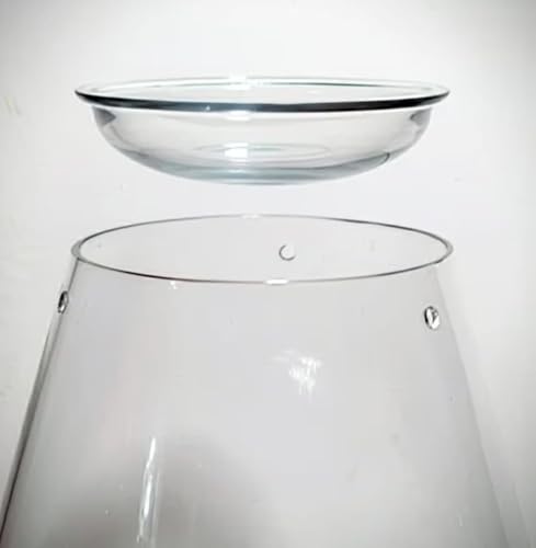 Image of HEIWA India - Handmade Terrarium Glass Pot with Lid & Premium Terrarium Soil | Oval Shape | 8 Inch | Pack of 1 | DIY