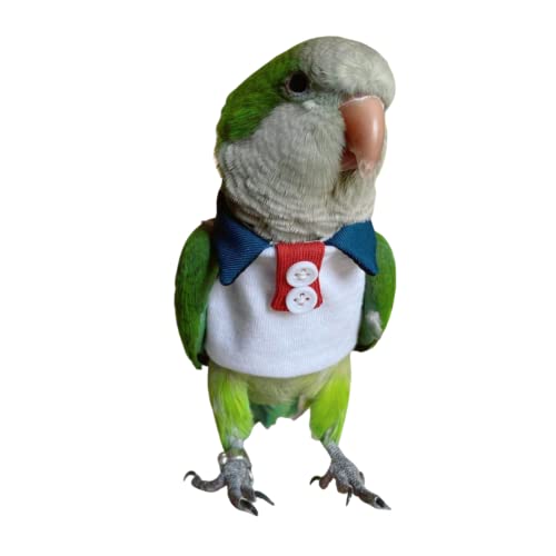 Bird Costume Bird Diaper Flight Suit Bird Summer Clothes Cosplay Photo Prop for Parrots Lovebird Parakeet Cockatiel Small Animals Apparel (Macaw,with Diaper)