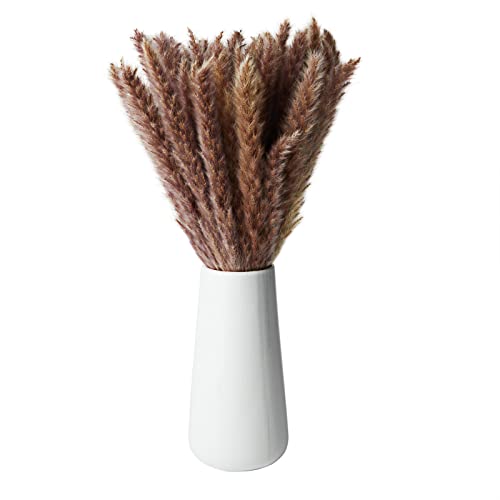 Herbe de Pampa Séchée Naturelle Brune avec Vase en Céramique, 40 Tiges, 40 cm de long Cover