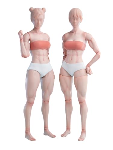 Corps flexible à échelle 1/6 AMITD Worldbox collection haute précision