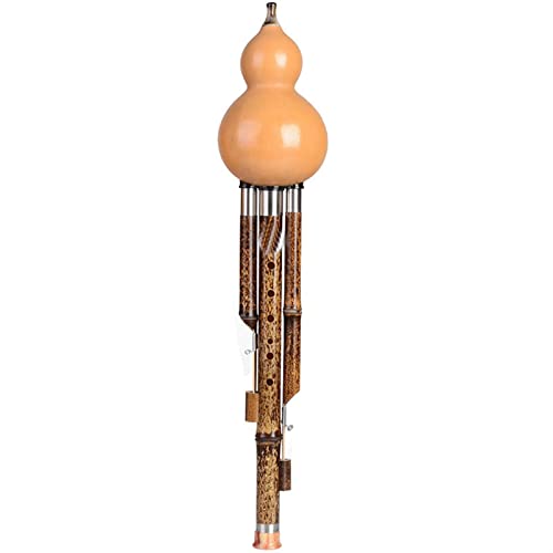 wCucurbitt[g wZ̊wƑl̂߂HulusivtFbViy (Color : G-tune)