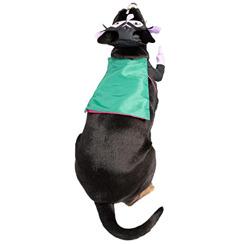 Pet Krewe The Count Vampire Dog Costume | Sesame Street Dracula Monster Pet Costumes For Dogs And Cats | Small Medium Large And X-Large #TOP4